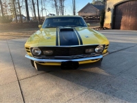 1970 Ford Mustang for sale in Michigan (ID-124011)