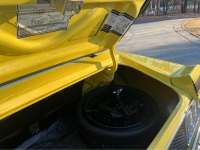 1970 Ford Mustang for sale in Michigan (ID-124011)