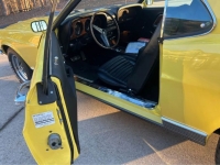 1970 Ford Mustang for sale in Michigan (ID-124011)
