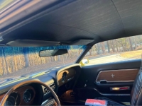 1970 Ford Mustang for sale in Michigan (ID-124011)