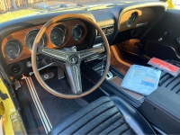 1970 Ford Mustang for sale in Michigan (ID-124011)