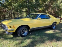 1970 Ford Mustang for sale in Michigan (ID-124011)