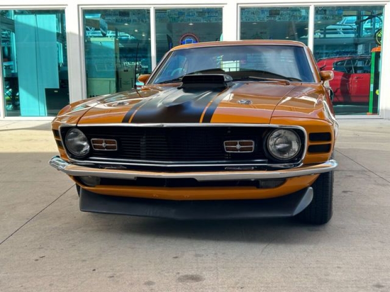 1970 Ford Mustang for sale in Riverhead, New York (ID-124574)