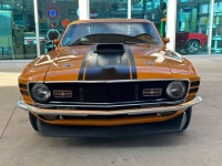 1970 Ford Mustang for sale in Riverhead, New York (ID-124574)