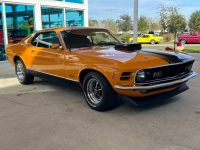 1970 Ford Mustang for sale in Riverhead, New York (ID-124574)