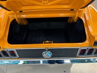 1970 Ford Mustang for sale in Riverhead, New York (ID-124574)