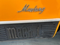 1970 Ford Mustang for sale in Riverhead, New York (ID-124574)