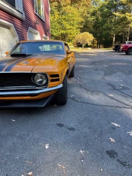 1970 Ford Mustang for sale in Michigan (ID-125058)