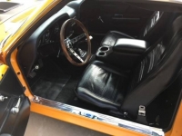 1970 Ford Mustang for sale in Michigan (ID-125058)