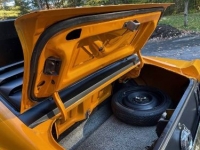 1970 Ford Mustang for sale in Michigan (ID-125058)