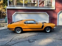 1970 Ford Mustang for sale in Michigan (ID-125058)