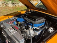 1970 Ford Mustang for sale in Michigan (ID-125058)