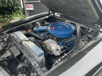 1970 Ford Mustang for sale in Michigan (ID-125779)