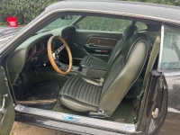 1970 Ford Mustang for sale in Michigan (ID-125779)