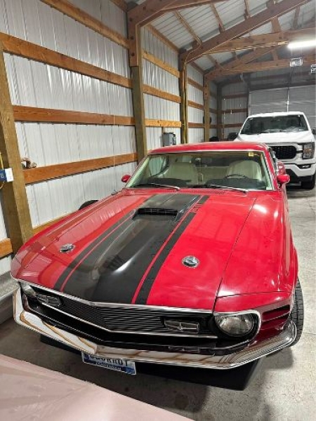 1970 Ford Mustang for sale in Michigan (ID-125970)