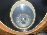 1970 Ford Mustang for sale in Michigan (ID-125970)