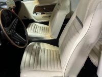 1970 Ford Mustang for sale in Michigan (ID-125970)