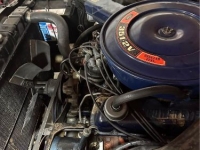 1970 Ford Mustang for sale in Michigan (ID-125970)