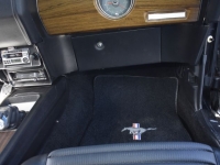 1970 Ford Mustang for sale in Michigan (ID-126598)