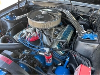 1970 Ford Mustang for sale in Michigan (ID-126644)