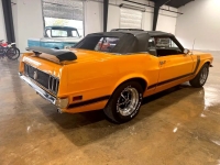 1970 Ford Mustang for sale in Michigan (ID-128496)