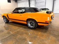 1970 Ford Mustang for sale in Michigan (ID-128496)