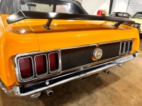 1970 Ford Mustang for sale in Michigan (ID-128496)