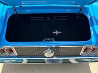 1970 Ford Mustang for sale in Riverhead, New York (ID-128957)