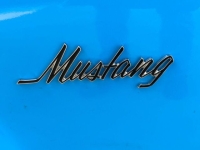 1970 Ford Mustang for sale in Riverhead, New York (ID-128957)