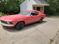 1970 Ford Mustang for sale in Michigan (ID-130094)