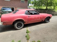 1970 Ford Mustang for sale in Michigan (ID-130094)
