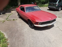 1970 Ford Mustang for sale in Michigan (ID-130094)