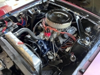 1970 Ford Mustang for sale in Michigan (ID-130651)