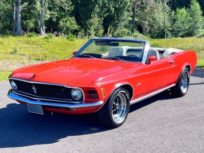 1970 Ford Mustang for sale