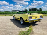 1970 Ford Mustang for sale in Michigan (ID-131427)