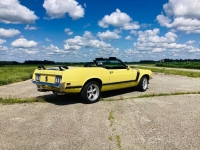 1970 Ford Mustang for sale in Michigan (ID-131427)