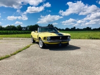 1970 Ford Mustang for sale in Michigan (ID-131427)