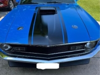 1970 Ford Mustang for sale in Michigan (ID-131829)