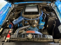 1970 Ford Mustang for sale in Michigan (ID-131829)