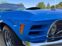 1970 Ford Mustang for sale in Michigan (ID-131829)