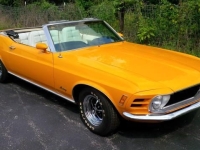 1970 Ford Mustang for sale (ID-99654)