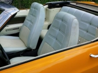 1970 Ford Mustang for sale (ID-99654)