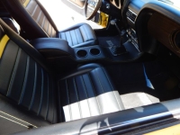 1970 Ford Mustang for sale in Michigan (ID-133267)