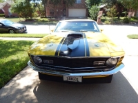 1970 Ford Mustang for sale in Michigan (ID-133267)