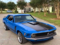 1970 Ford Mustang for sale in Michigan (ID-134634)