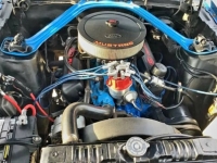 1970 Ford Mustang for sale in Michigan (ID-134634)