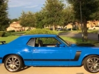 1970 Ford Mustang for sale in Michigan (ID-134634)