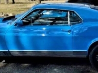 1970 Ford Mustang for sale in Michigan (ID-134733)