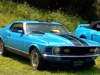 1970 Ford Mustang for sale in Michigan (ID-134733)