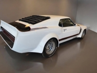 1970 Ford Mustang for sale in Addison, Illinois (ID-135737)